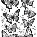 THE FOREST -from a coloring book for and about the outdoors- Produced by Penn Marie (89)